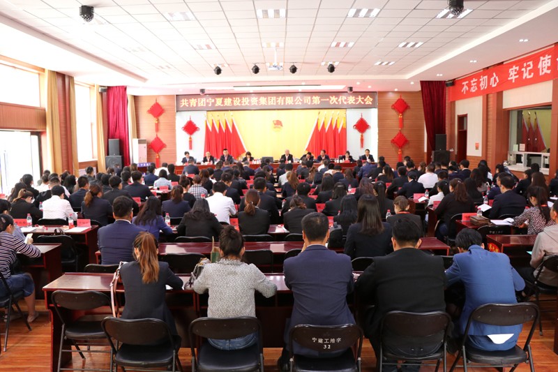 共青团华体会买球(中国)委员会召开第一次代表大会