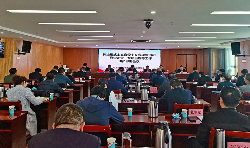 宁夏建投党委召开纠治形式主义官僚主义专项整治和“靠企吃企”专项治理等工作 动员部署会议
