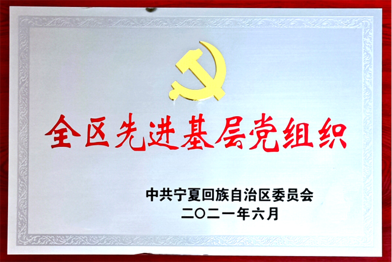 喜讯华体会买球(中国)党委荣获“全区先进基层党组织”149.jpg